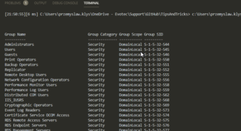 Export-CliXML and Import-CliXML serialization woes