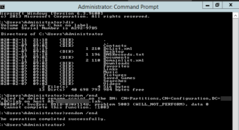 Renaming NETBIOS name of Active Directory Error